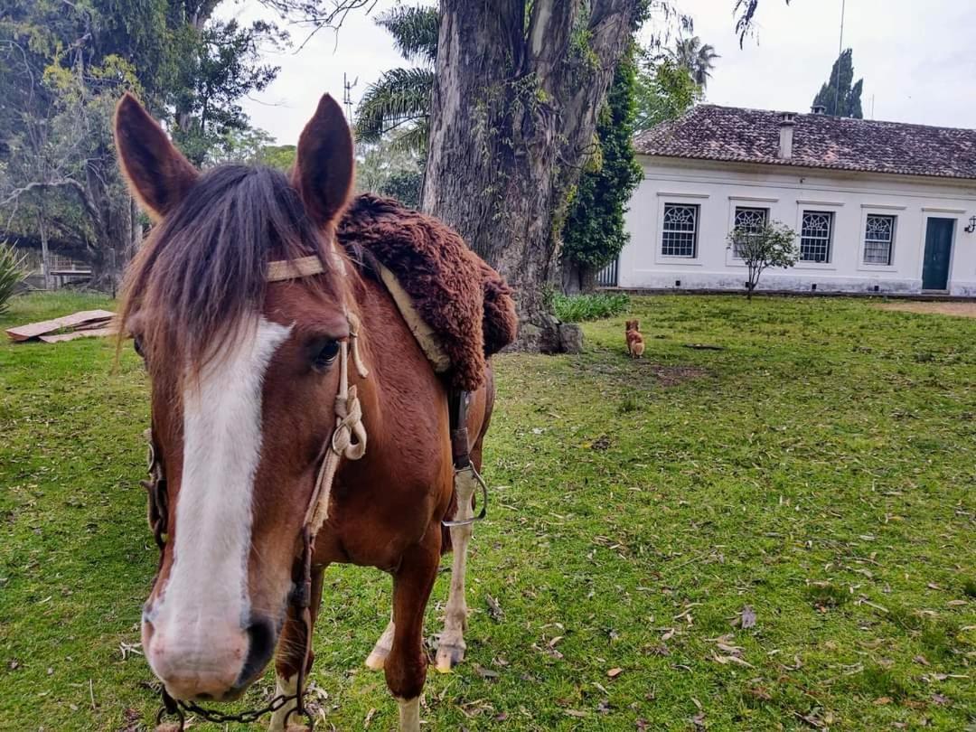 Pousada Do Sobrado Bage Exterior photo